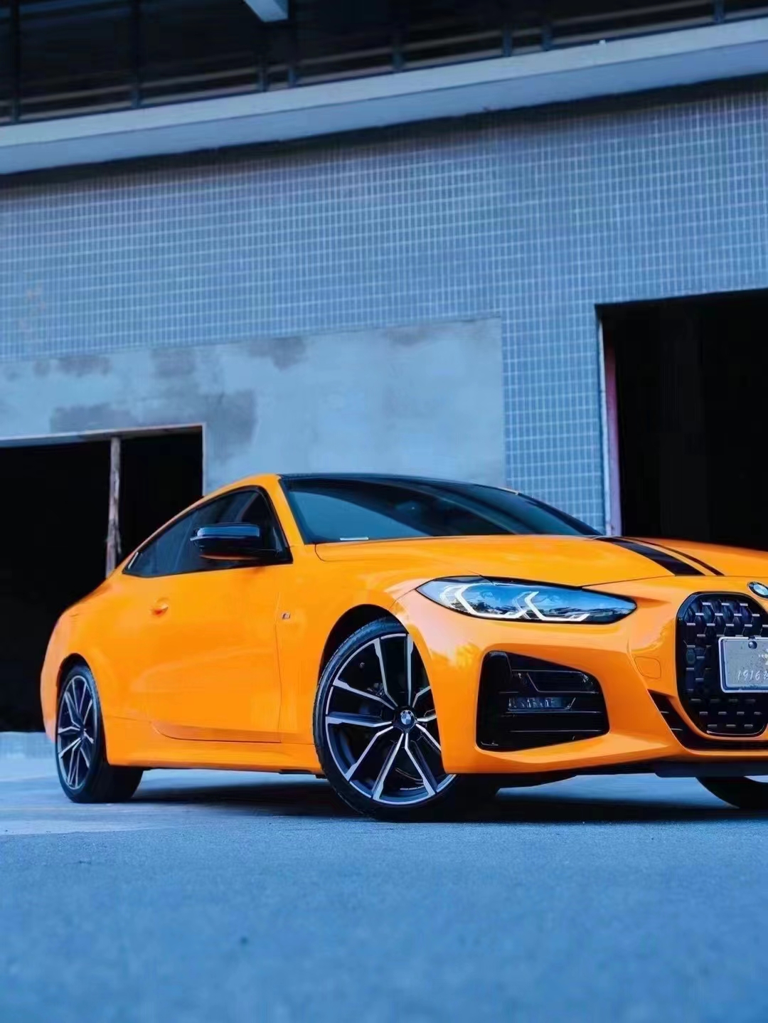 mmexport1680162096280.jpg